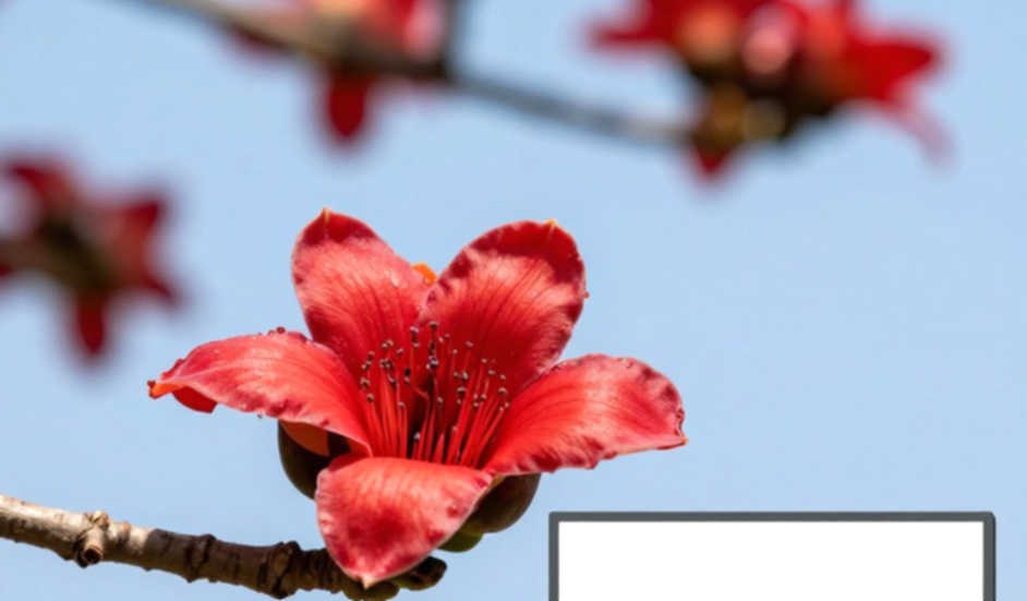 Mười hai ngày xuyên Hy Lạp bằng năm môn thể thao: Câu hỏi thật sự không phải là 'chinh phục'